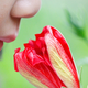 Illustration for article titled How Many Different Smells Can The Human Nose Actually Detect?